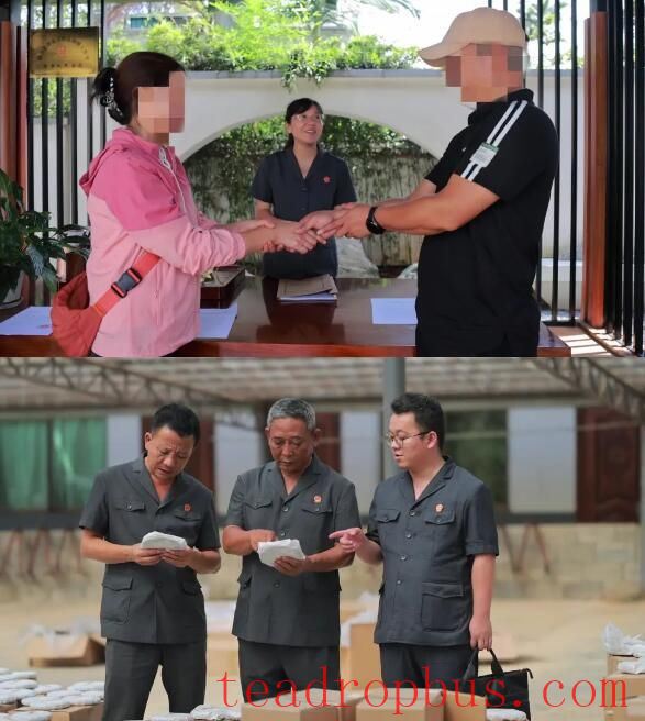 Mengku People's Court: The “Maple” Breeze Refreshes the Green Hills of the Tea Village; Justice Nurtures the People and Builds Peace-3