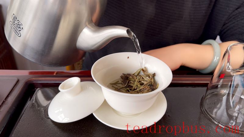 How to Brew Yunnan White Tea, Baihao Yinzhen? Is it Tasty?-11