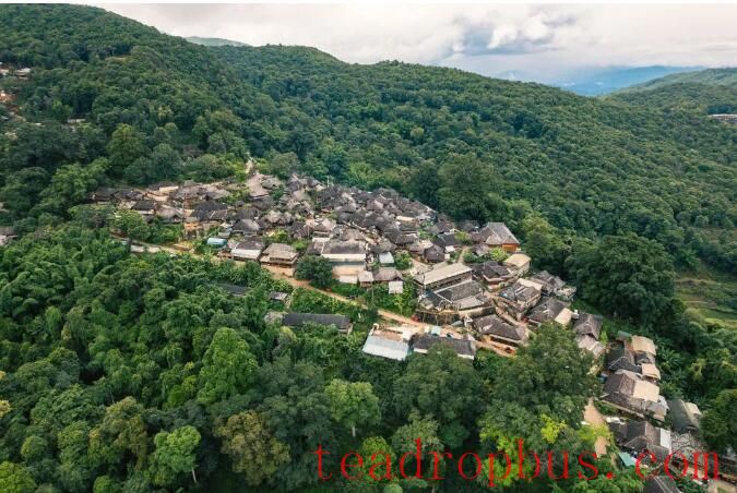 You Come from the Mountains — A Series on the Journey of Jingmai Mountain's World Heritage Nomination ①-2