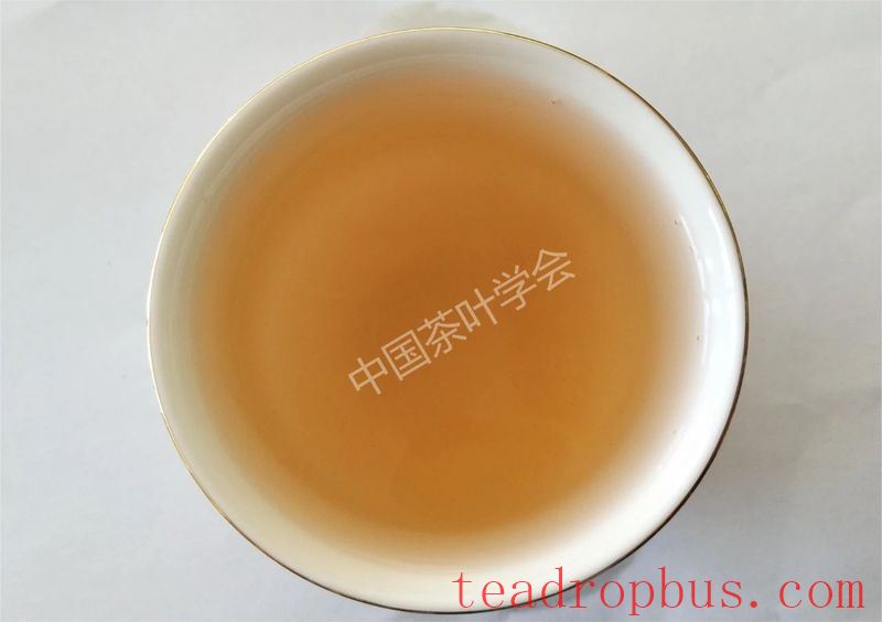 Intangible Cultural Heritage of Humanity: Traditional Chinese Tea Processing Skills - Chapter ① on Oolong Tea – Tieguanyin-13