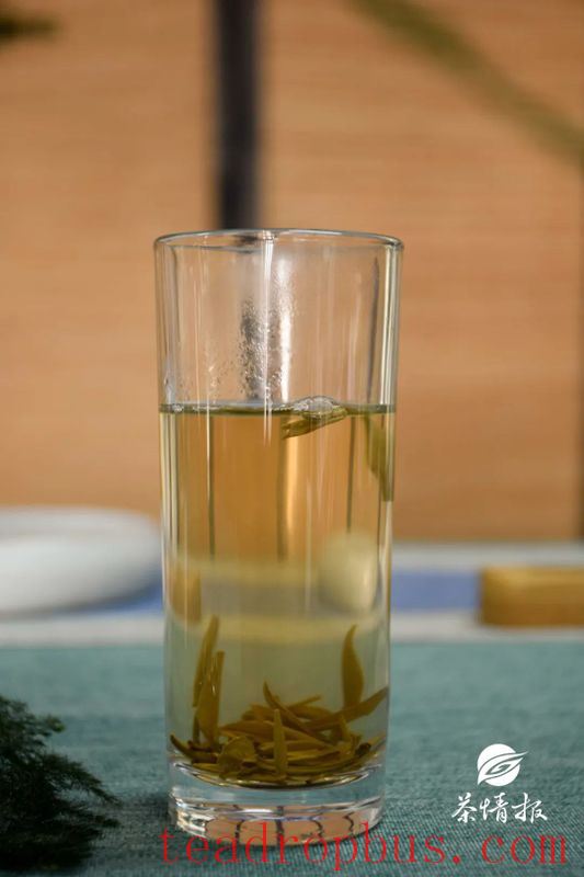 Years Undercover at the Tea Shop: I Finally Stole the Boss's Secret Tea Brewing Formula-4