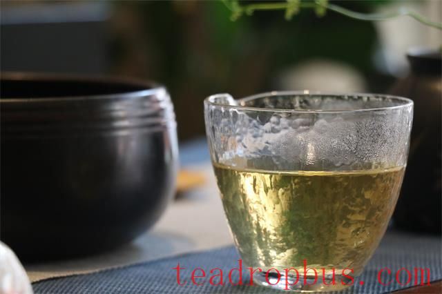 China's Tea and Its Culture XXIII: 