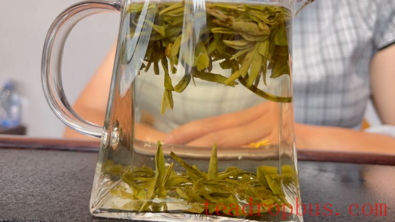 Tips for Brewing Green Tea and How Many Cups to Drink per Day-2