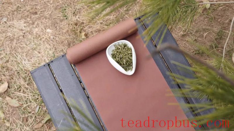 I Want to Brew a Pot of Tea and Make an Appointment in Spring-1