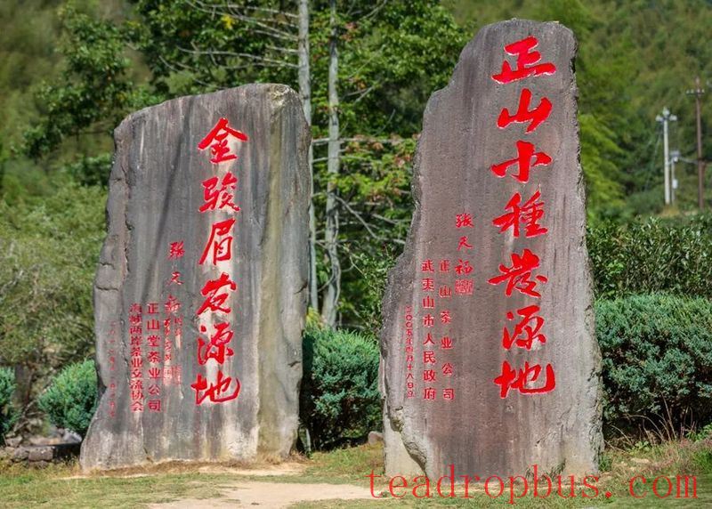 The Sacred Land of Tea: Mount Wuyi-7