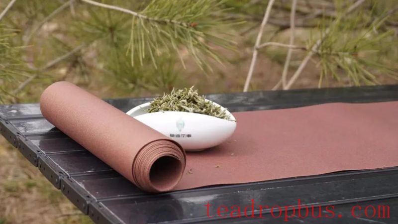 Life is imbued with a faint, rich aroma by the cleansing of tea.-1