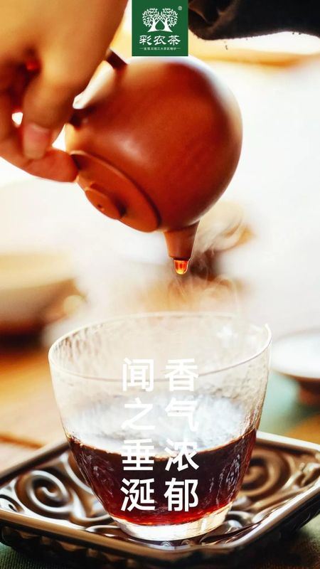 Cainong Tea: Tasting Pu'er - Drinking in Moderation-3