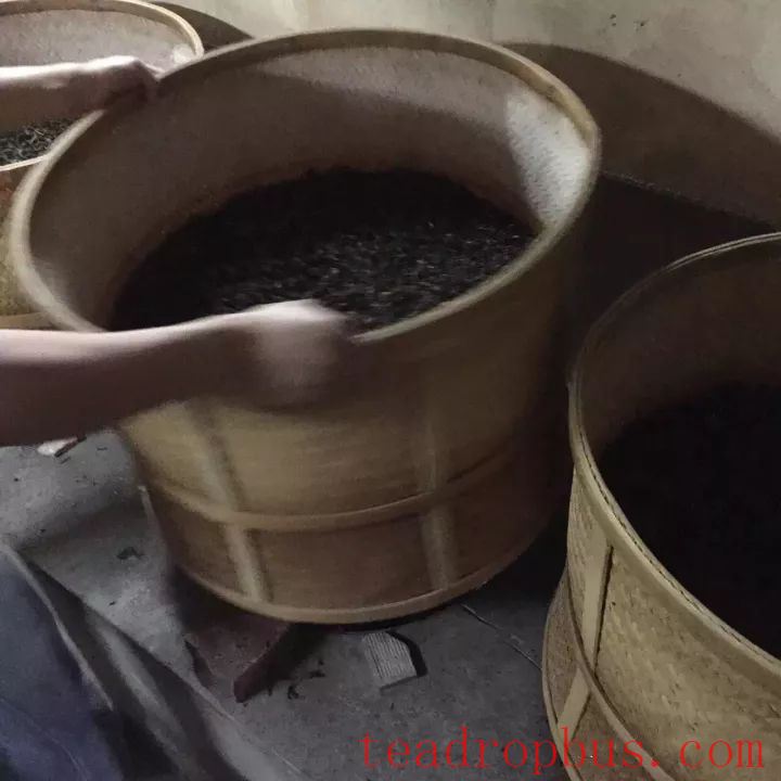 Anxi Tieguanyin: A Cup of Autumn Tea and the Stories Behind It-7