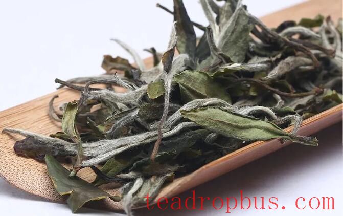 Indulge in White Tea When Summer Starts, and Heat Stroke Will Be the Least of Your Worries!-4