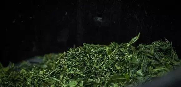 The Liu Bao Tea Production Process [Detailed Explanation]-5