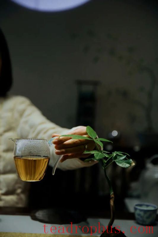 Brew a Pot of Tea, and Send Rain to the Thirsty Fields of Your Heart-1