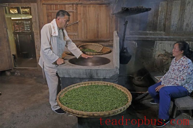 Perseverance and Innovation since 2000: The National Intangible Cultural Heritage — Traditional Mongshan Tea Making Skills-8