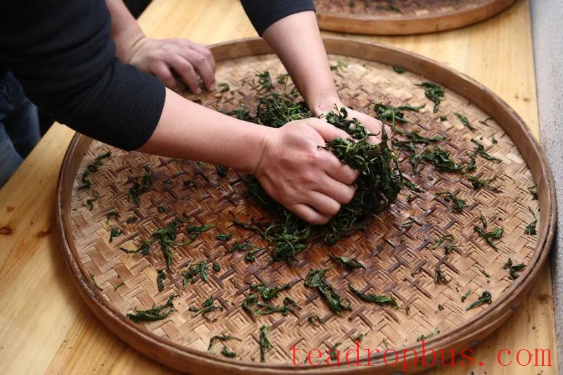 National Intangible Cultural Heritage: Wuyi Rock Tea (Da Hongpao) Manufacturing Technique-6