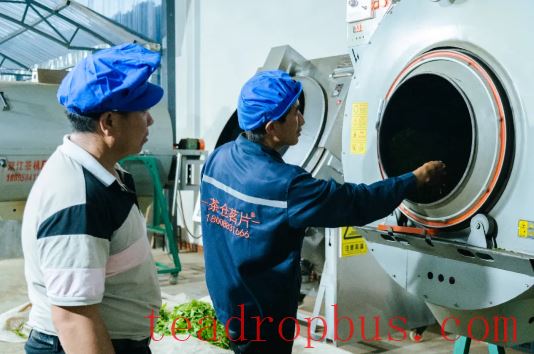 Zhenkang: Building Party Branches Along the Chain to Boost Tea Industry Development-2