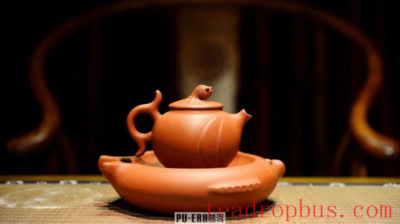 Pu'er: The Spring and Autumn in the Teapot-5
