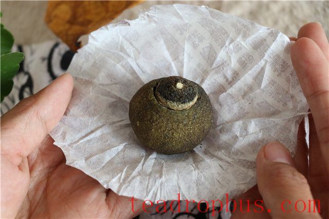 Little Green Tangerine Pu'er Tea: The Correct Brewing Method-1