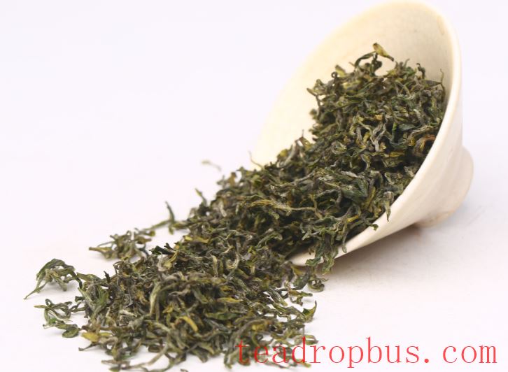 The Tea Pact of the Dog Days: A Guide to Drinking Tea Properly!-2