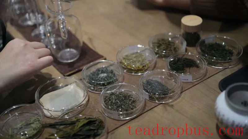 The Aroma of Tea Before the First Sip-3