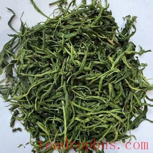 Key Technologies for Processing Sanbei Fragrant Green Tea in Taishun County-5
