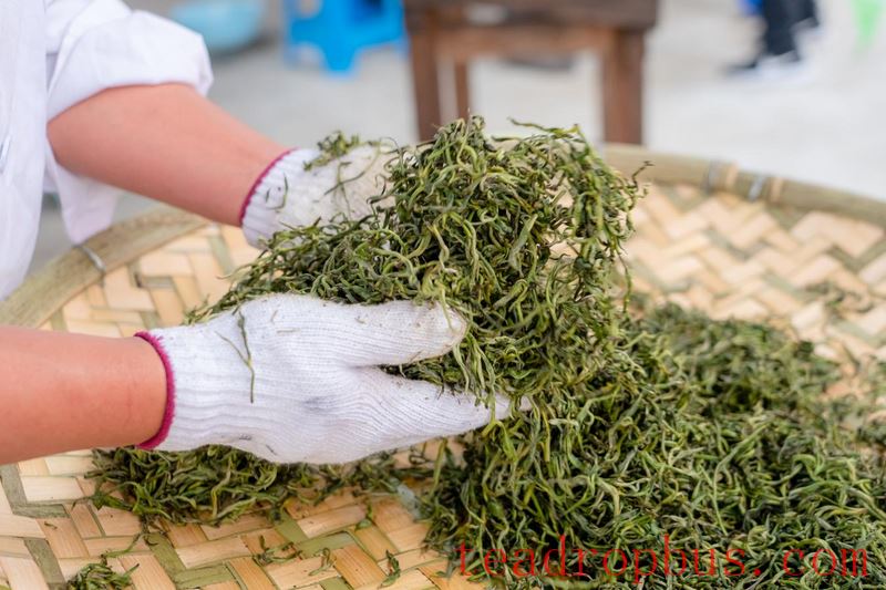 Lianghe Hui Long Tea: A Toast to the Millennium Mist of the Ancient Tea Horse Road-9