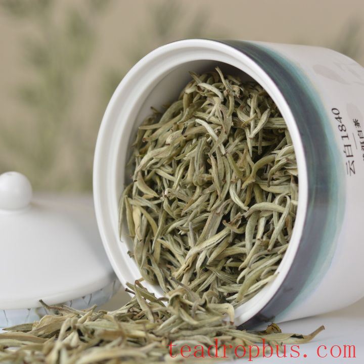 Taoism in Practice: A Brief Discussion of the Processing Techniques for Large-Leaf White Tea from Yunnan-2