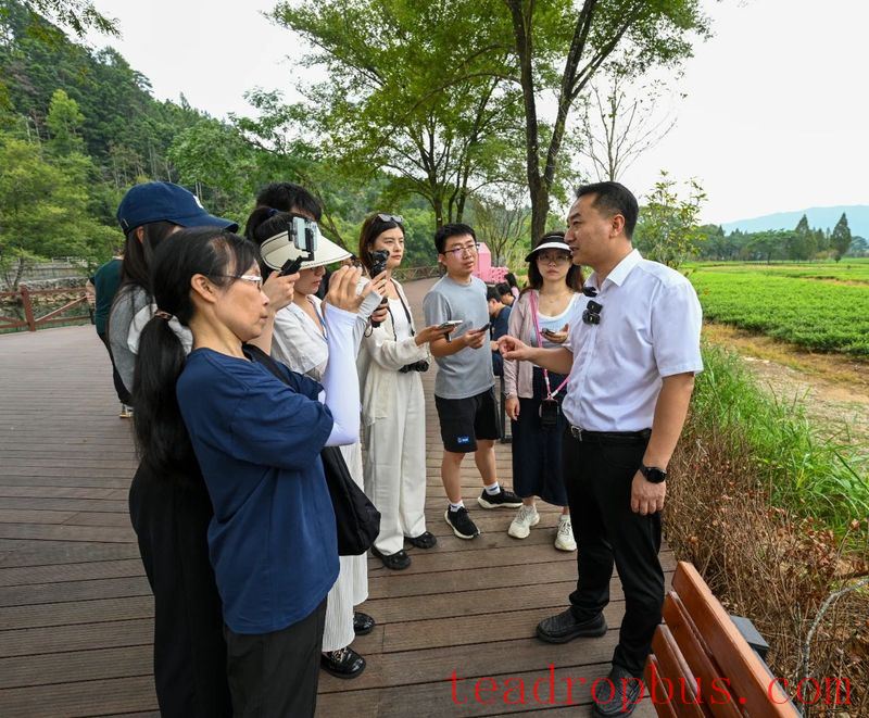 Nanping Wuyishan: Pursuing a Path of Ecological Priority and Green Development-2