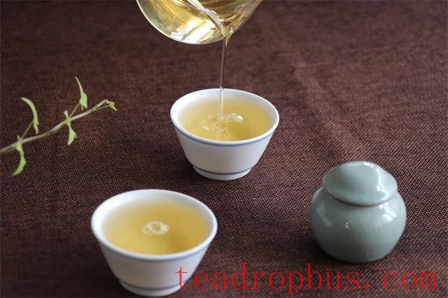 Tea and the Rhythm of Life: Unveiling the Essence of Existence in Aroma-4