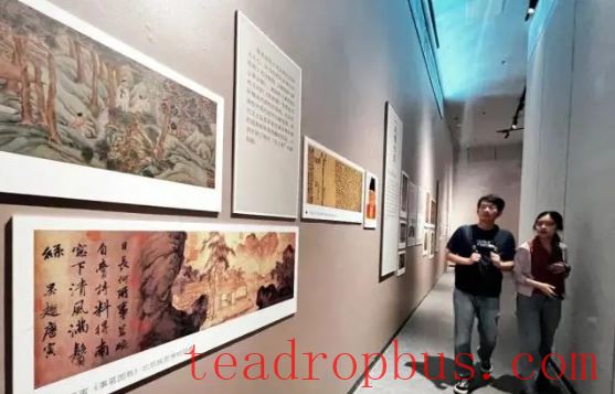 Cultural Assistance to Xinjiang through Tea Friendship! 
