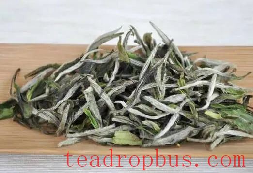 White Dew Tea VS Cold Dew Tea: Which Tastes Better?-1