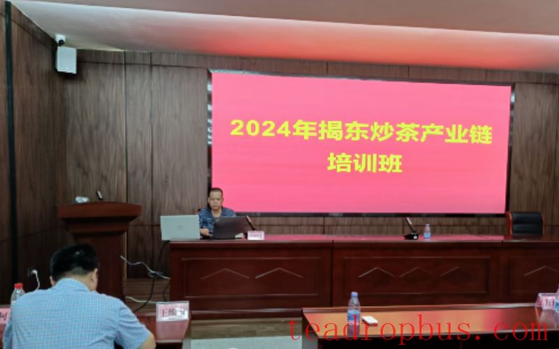 Guangdong Tea Institute Hosts Jiedong Stir-Fried Tea Industry Chain Training Session-1