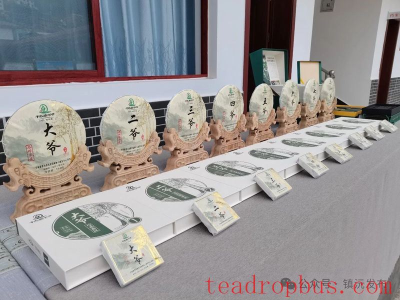 Zhenyuan County Breaks New Ground with the 