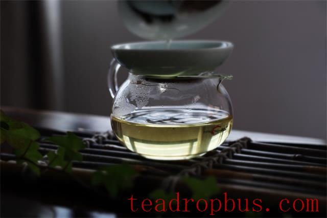 Is the Tea Good or Not? Brewing is Key-5