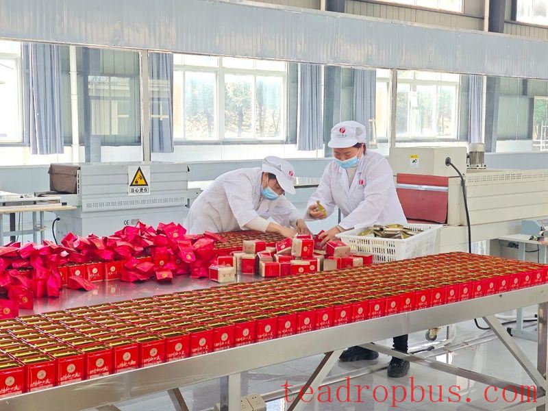 The Millennium Tea Land — Gao County-2