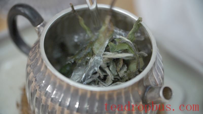 Can white tea be stored in the fridge?-3
