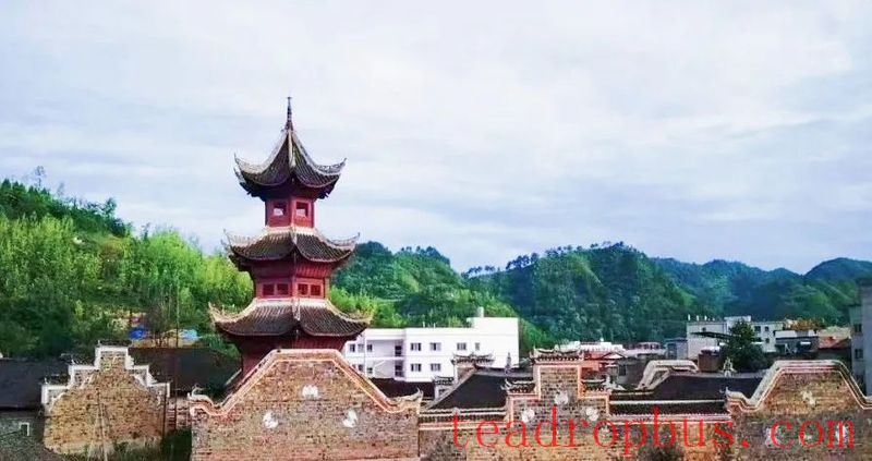 The Hometown of Tribute Tea in China — Jinsha-3
