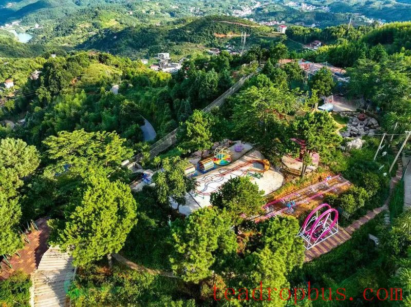 Guoxin Green Valley, One of the Top Ten Gold Medal Tea Estates in Anxi: The Romance and Poetry of Staying Amidst the Tea Garden-13