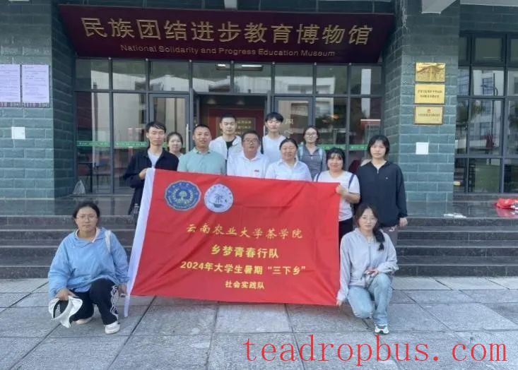 Exploring the Secrets of Ancient Tea Mountains: Agricultural Science and Technology Enriches Rural Communities-2