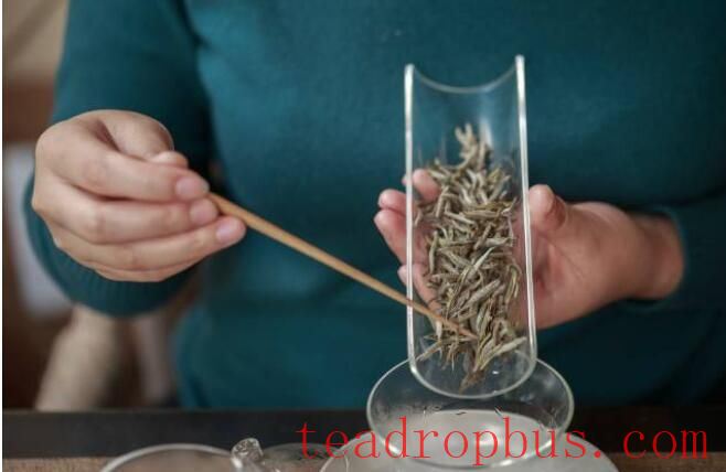 Brewing White Tea: How to Infuse for a Better Taste?-1