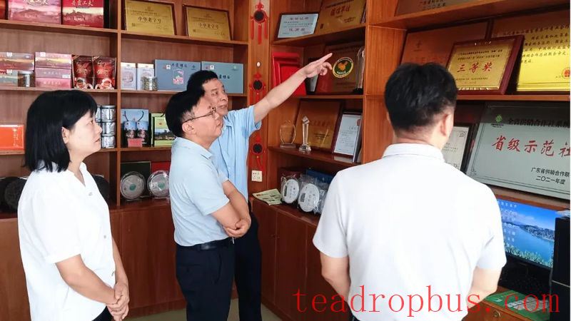 Investigation at the Hongshan Town Funnong Tea Specialized Cooperative by the Supply and Marketing Cooperatives of Guangdong Province-1