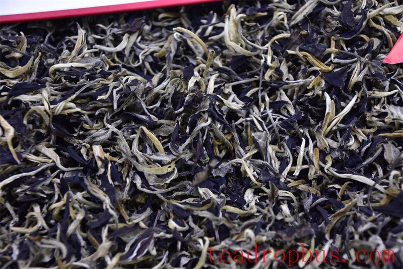 White Tea: Loose Leaf vs. Compressed—A Journey of Flavor and Choice-3