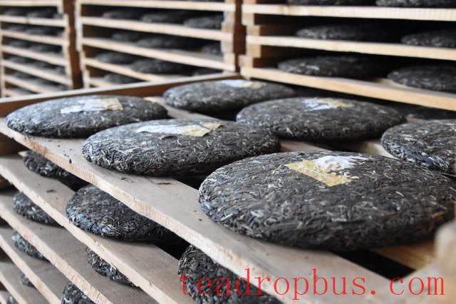 The Pu'er Raw Tea Production Process: Every Leaf and Bud Counts-4