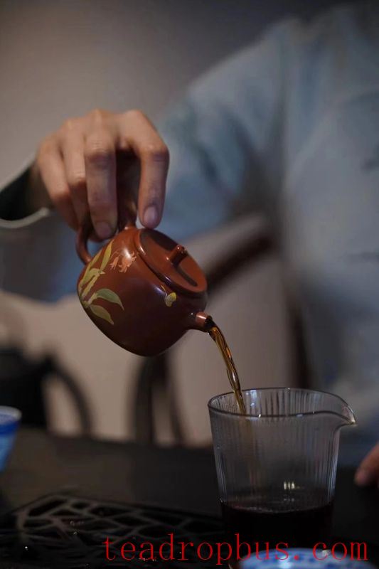 These Teapot Selection Tips Will Help You Choose the Perfect Teapot for You-3