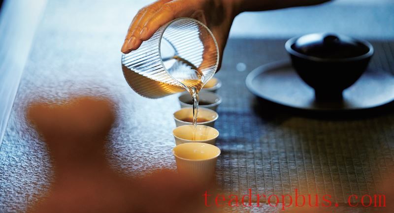 Puer Raw Tea: Savoring Aroma, Freshness, and Terroir (Part I)-1
