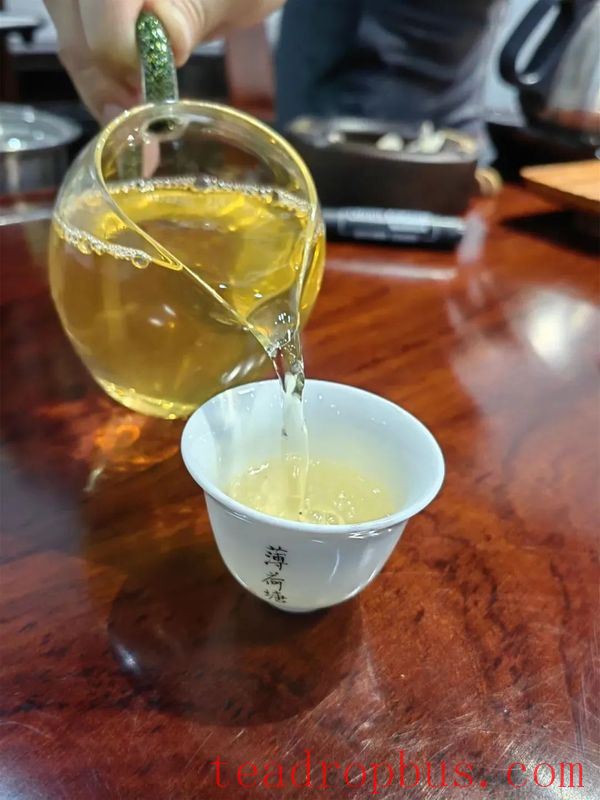 Mengla Yiwu: Spring Tea Aroma Attracts Visitors-4