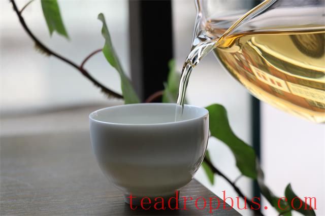 Savor a Fine Cup of Tea and Enjoy Your Own Peace and Tranquility-3