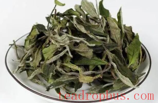 A Complete Guide to Brewing White Tea! No More Worries About Brewing-3