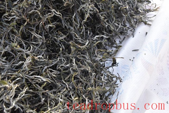Puer Tea: Sun-dried, Oven-dried, and Pan-fried Processes and Differences-2