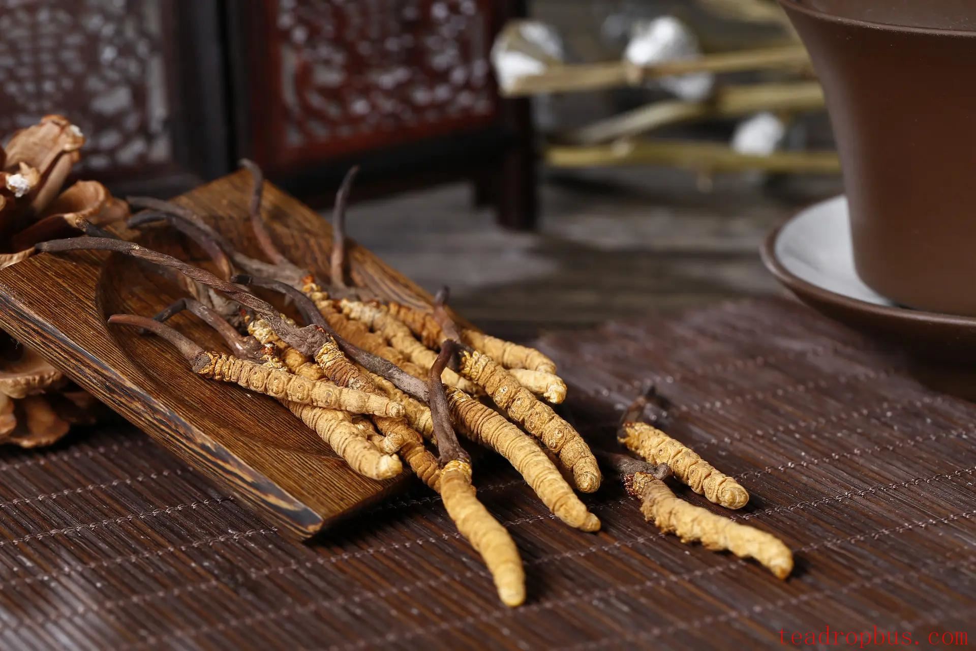 Cordyceps Tea: How Many Stems to Use? A Detailed Guide on Brewing Cordyceps Tea-1