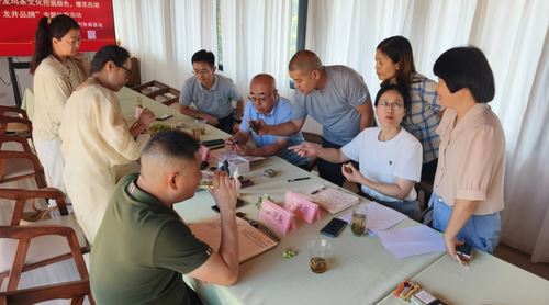 Changdian Village: Village-level Consultations Yield Tea Industry Growth-3