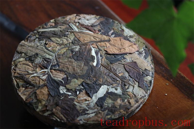 White Tea: The Fresh Aroma of Time-2